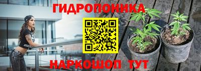 гашик Бузулук