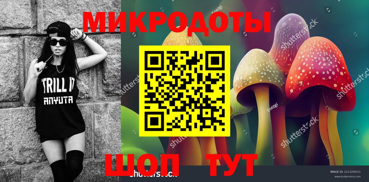 Галлюциногенные грибы прущие грибы Мончегорск