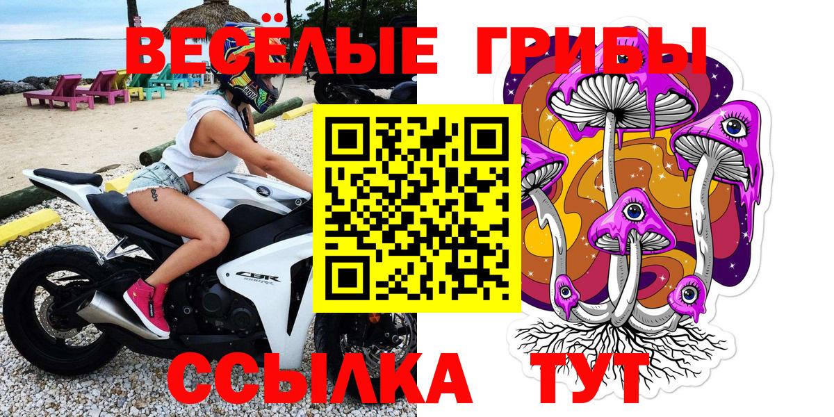 Псилоцибиновые грибы Psilocybine cubensis  где купить наркотик  Псилоцибиновые грибы Psilocybine cubensis  Мончегорск  Вход с VPN 